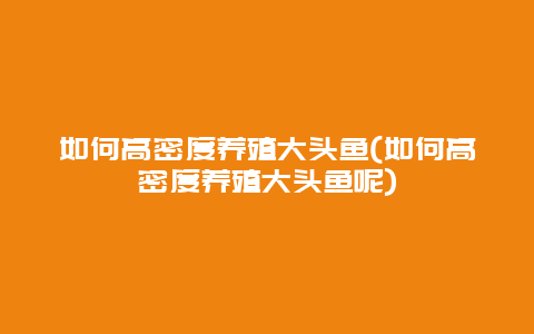 如何高密度养殖大头鱼(如何高密度养殖大头鱼呢)