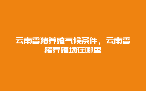 云南香猪养殖气候条件，云南香猪养殖场在哪里