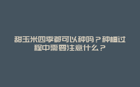 甜玉米四季都可以种吗？种植过程中需要注意什么？