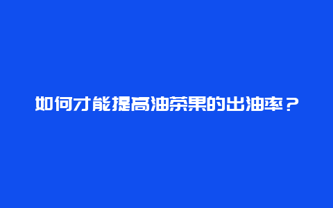 如何才能提高油茶果的出油率？