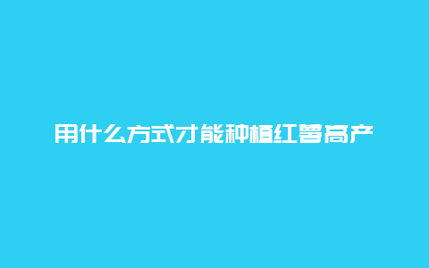 用什么方式才能种植红薯高产