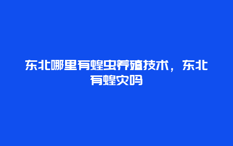 东北哪里有蝗虫养殖技术，东北有蝗灾吗