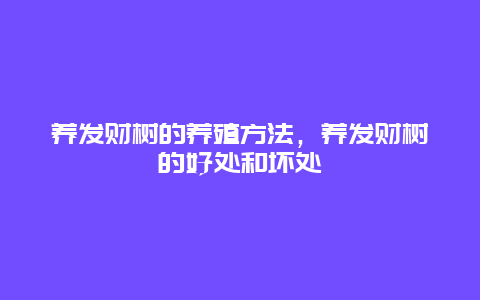 养发财树的养殖方法，养发财树的好处和坏处