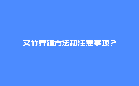 文竹养殖方法和注意事项？