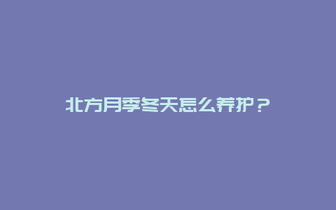 北方月季冬天怎么养护？