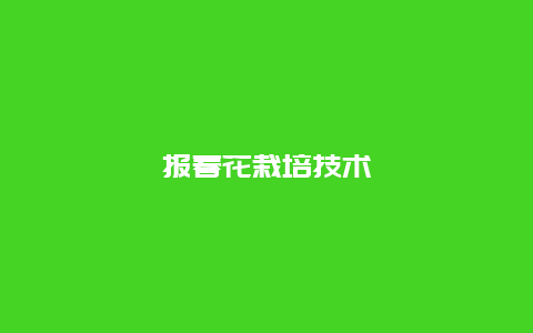 报春花栽培技术