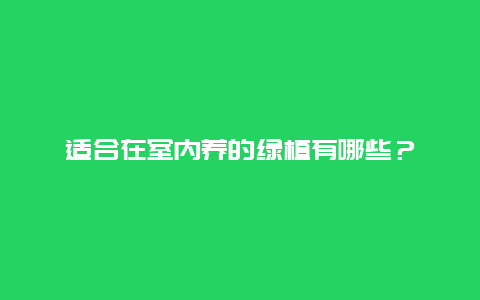 适合在室内养的绿植有哪些？