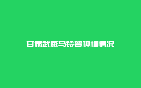 甘肃武威马铃薯种植情况