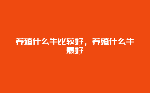 养殖什么牛比较好，养殖什么牛最好