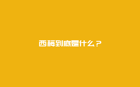 西梅到底是什么？