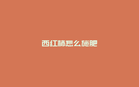 西红柿怎么施肥