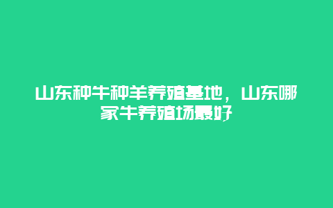 山东种牛种羊养殖基地，山东哪家牛养殖场最好