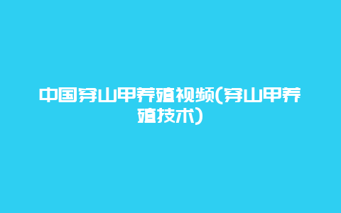 中国穿山甲养殖视频(穿山甲养殖技术)