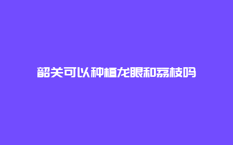 韶关可以种植龙眼和荔枝吗