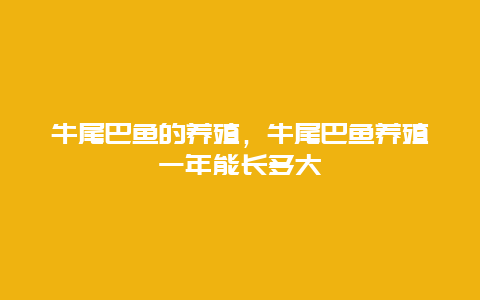 牛尾巴鱼的养殖，牛尾巴鱼养殖一年能长多大