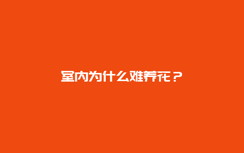 室内为什么难养花？