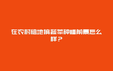 在农村租地搞蔬菜种植前景怎么样？