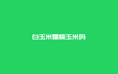 白玉米是糯玉米吗