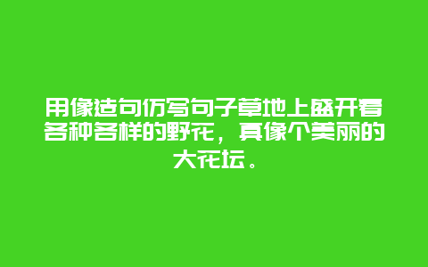 用像造句仿写句子草地上盛开着各种各样的野花，真像个美丽的大花坛。