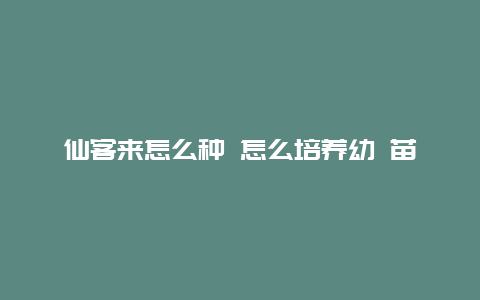 仙客来怎么种 怎么培养幼 苗