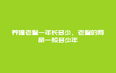 养殖老鳖一年长多少，老鳖的寿命一般多少年