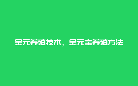 金元养殖技术，金元宝养殖方法