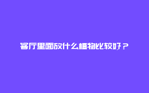 客厅里面放什么植物比较好？