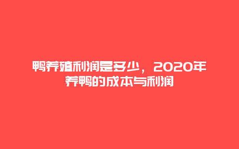 鸭养殖利润是多少，2020年养鸭的成本与利润