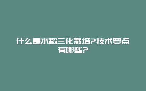 什么是水稻三化栽培?技术要点有哪些?