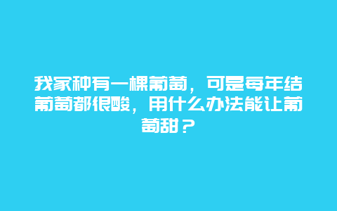 我家种有一棵葡萄，可是每年结葡萄都很酸，用什么办法能让葡萄甜？