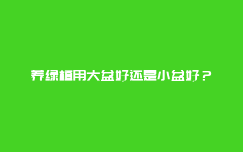 养绿植用大盆好还是小盆好？