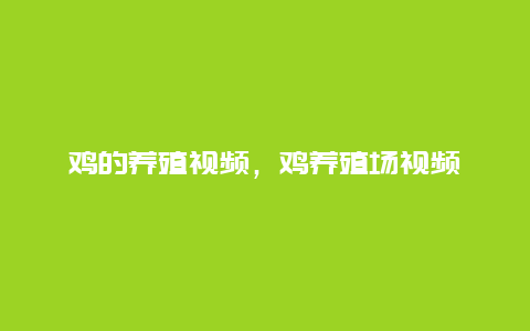 鸡的养殖视频，鸡养殖场视频