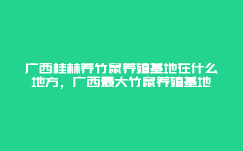 广西桂林养竹鼠养殖基地在什么地方，广西最大竹鼠养殖基地