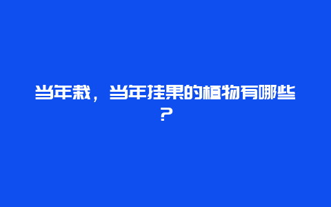 当年栽，当年挂果的植物有哪些？