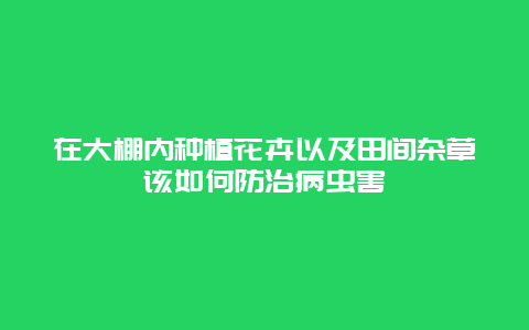 在大棚内种植花卉以及田间杂草该如何防治病虫害