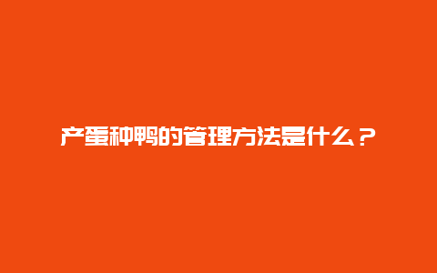 产蛋种鸭的管理方法是什么？