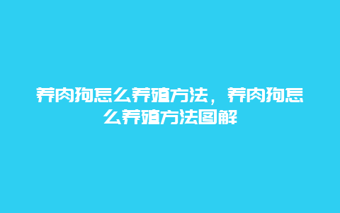 养肉狗怎么养殖方法，养肉狗怎么养殖方法图解