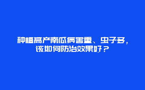 种植高产南瓜病害重、虫子多，该如何防治效果好？