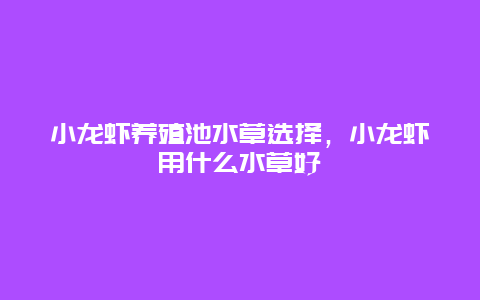 小龙虾养殖池水草选择，小龙虾用什么水草好