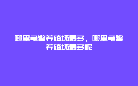 哪里龟鳖养殖场最多，哪里龟鳖养殖场最多呢