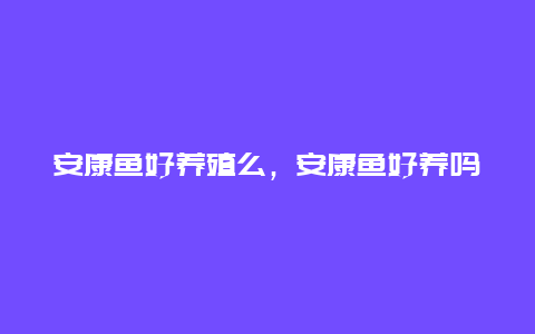 安康鱼好养殖么，安康鱼好养吗