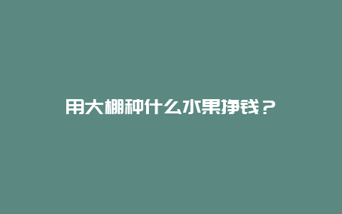 用大棚种什么水果挣钱？