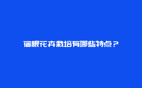 宿根花卉栽培有哪些特点？