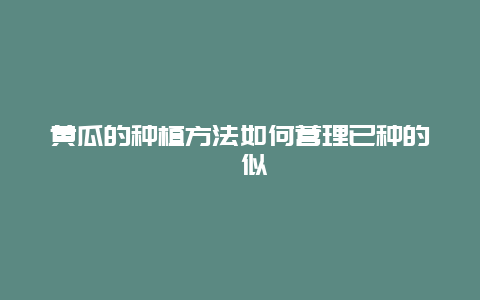 黄瓜的种植方法如何营理已种的黃似