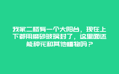 我家二楼有一个大阳台，现在上下都用磨砂玻璃封了，这里面还能种花和其他植物吗？