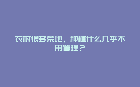 农村很多荒地，种植什么几乎不用管理？