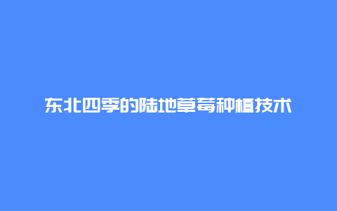 东北四季的陆地草莓种植技术