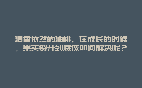 清香依然的油桃，在成长的时候，果实裂开到底该如何解决呢？