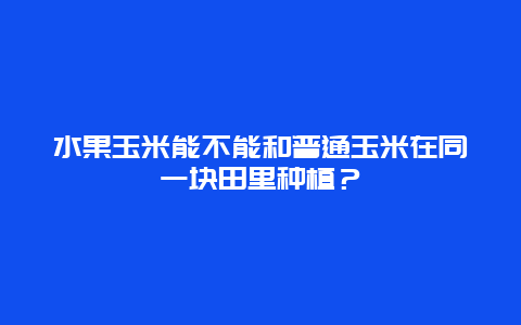 水果玉米能不能和普通玉米在同一块田里种植？