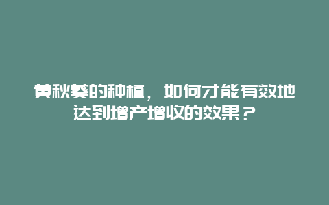 黄秋葵的种植，如何才能有效地达到增产增收的效果？